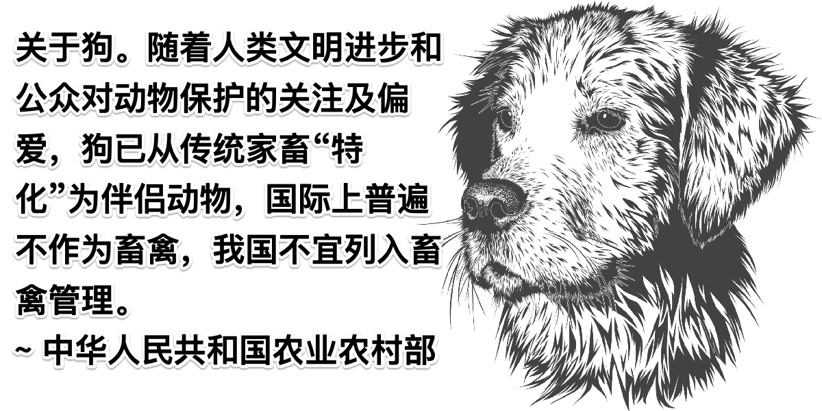 Announcement from Ministry of Agriculture and Rural Affairs of the People’s Republic of China regarding consumption of the dog meat